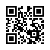 КулЛиб QR: Невидимое правительство США (fb2)