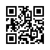 КулЛиб QR: Наш человек в Киеве (fb2)