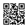 КулЛиб QR: Навіжені в Перу (fb2)