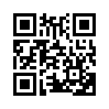 КулЛиб QR: Простая Полицейская История (fb2)