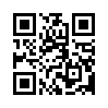 КулЛиб QR: Курфюрст Курляндии (fb2)