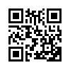 КулЛиб QR: Князь Палаэль. В другом мире (fb2)