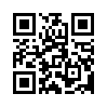 КулЛиб QR: Портрет (fb2)
