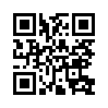КулЛиб QR: Шпион, выйди вон (fb2)