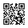 КулЛиб QR: Портрет на фоне Вавилонской башни (fb2)