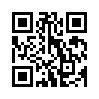 КулЛиб QR: Слёзы Саломеи (СИ) (fb2)