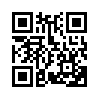 КулЛиб QR: Провинциал. Книга 4 (fb2)