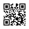 КулЛиб QR: Разорванная паутина (fb2)