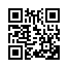 КулЛиб QR: Женский портрет (fb2)