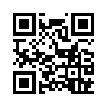КулЛиб QR: Маска или лицо (fb2)