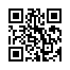 КулЛиб QR: Переписка Бориса Пастернака (fb2)