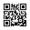 КулЛиб QR: Записки нелегала (fb2)