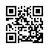 КулЛиб QR: Так кто же «неправильный»? (fb2)