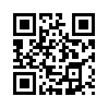 КулЛиб QR: ПАРАБЕЛЛУМ (fb2)
