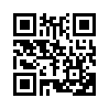 КулЛиб QR: Утраченное звено (fb2)