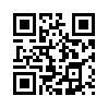 КулЛиб QR: Система новичка (fb2)