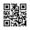 КулЛиб QR: Похитители бриллиантов (fb2)
