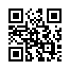 КулЛиб QR: Прекрасный игрок (fb2)