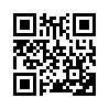 КулЛиб QR: Мушкетер ищет фею (fb2)
