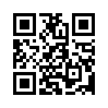 КулЛиб QR: Ты спишь? (fb2)