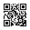 КулЛиб QR: Эпизоды революционной войны (fb2)