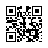 КулЛиб QR: Зеркало (fb2)