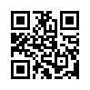 КулЛиб QR: Случайный флирт (fb2)