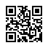 КулЛиб QR: Судьба генерала (fb2)