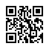КулЛиб QR: В очереди за счастьем (fb2)