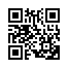 КулЛиб QR: Невечное везение (fb2)