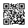 КулЛиб QR: Маленький гном Вася (fb2)