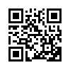 КулЛиб QR: Леди-бомж (fb2)