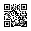 КулЛиб QR: Леди-босс (fb2)