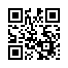 КулЛиб QR: Портальщик (СИ) (fb2)