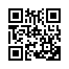 КулЛиб QR: Адъютант (СИ) (fb2)