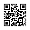 КулЛиб QR: Дневник зелёного цвета (fb2)