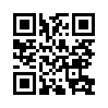 КулЛиб QR: Серебряный филин (fb2)