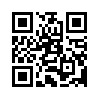 КулЛиб QR: Стрелочник (fb2)