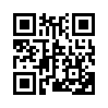 КулЛиб QR: Рука Борджиа (fb2)