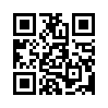 КулЛиб QR: Детектив под Рождество 2009 (fb2)