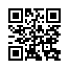 КулЛиб QR: Петербургский презент (fb2)