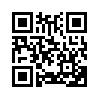 КулЛиб QR: Она была шатенкой (fb2)