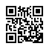КулЛиб QR: Опричники (fb2)
