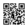 КулЛиб QR: Шлимазл (fb2)