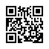 КулЛиб QR: Компания (fb2)