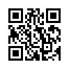 КулЛиб QR: Эйнштейн гуляет по Луне (fb2)