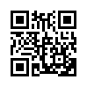 КулЛиб QR: Долг ждет (fb2)
