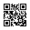 КулЛиб QR: Игра слов (fb2)