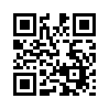 КулЛиб QR: Мерцание (fb2)