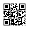 КулЛиб QR: Брутфорс 1 (fb2)
